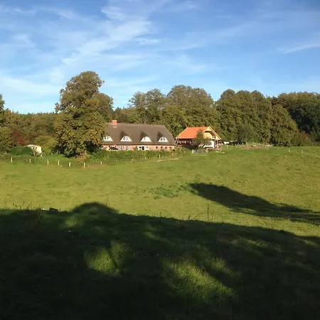 Hoheluft Am Wittensee 2 גרוס וויטנזה